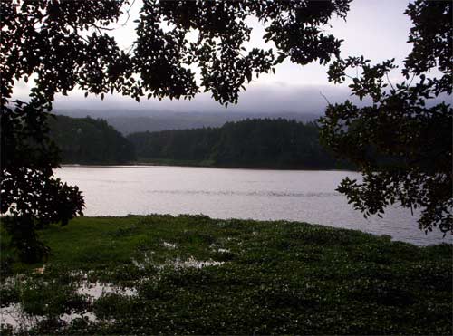 A hole new experience